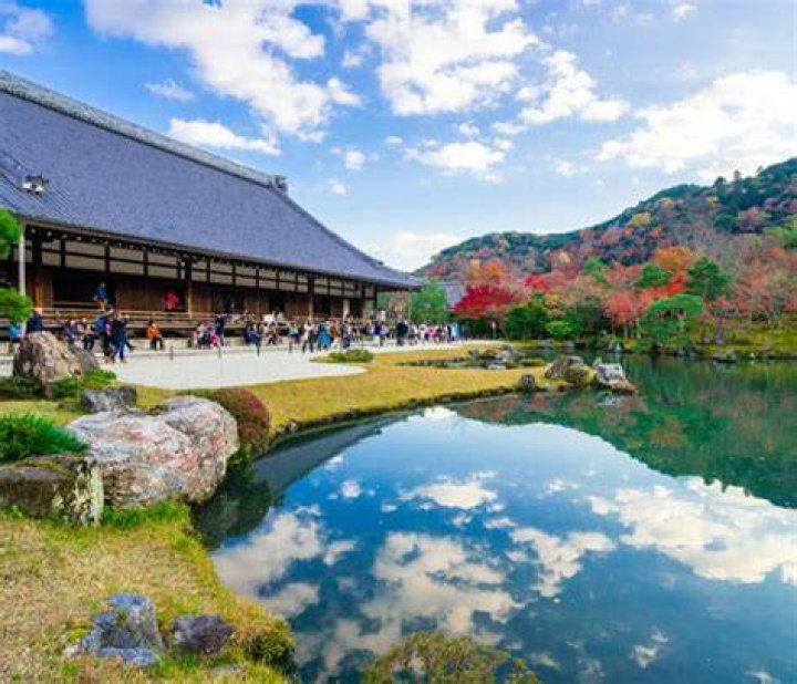 五十路マダム京都店とは？サービス概要・特徴・京都エリアの熟女系店舗ガイド